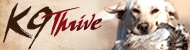 [HyperLink1]