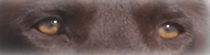 [HyperLink1]